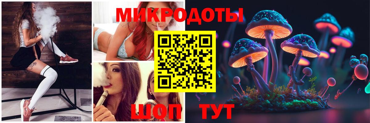Тимашёвск  Галлюциногенные грибы мухоморы  где купить наркоту  Вход с VPN  Псилоцибиновые грибы Psilocybe 